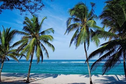 Flights to Mombasa